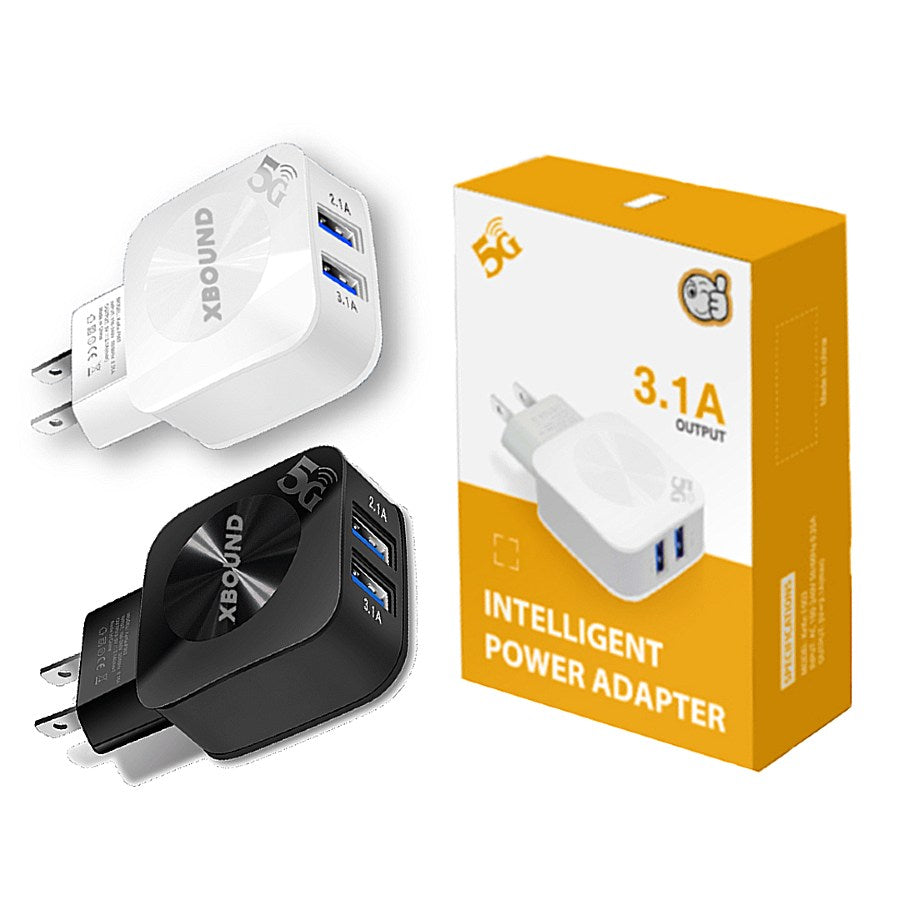 3.1A Dual usb Wall Charger
