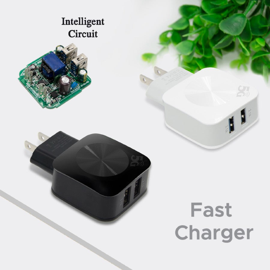 3.1A Dual usb Wall Charger