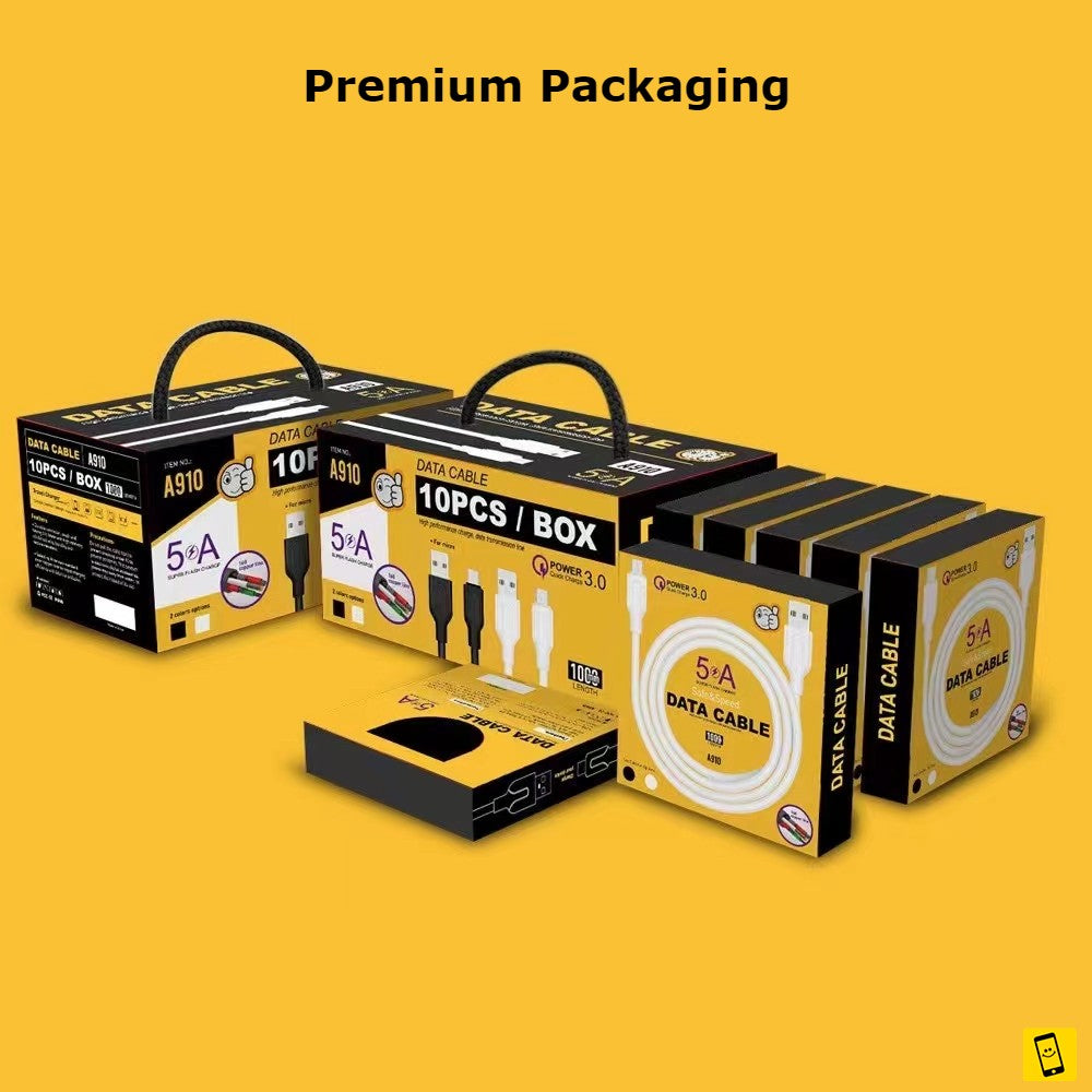 10ft 5A Fast Charger Cable