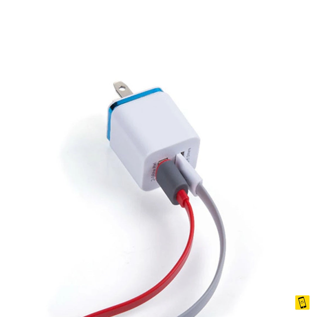 5V 2.1/1A Dual USB Wall Charger