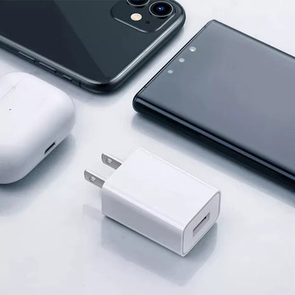High Quality 5V 1A Wall charger adapter for iPhone [Intelligent Circuit and overcharge protection]